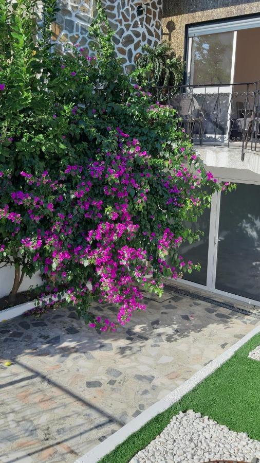 Colina Guesthouse - Braga Kültér fotó