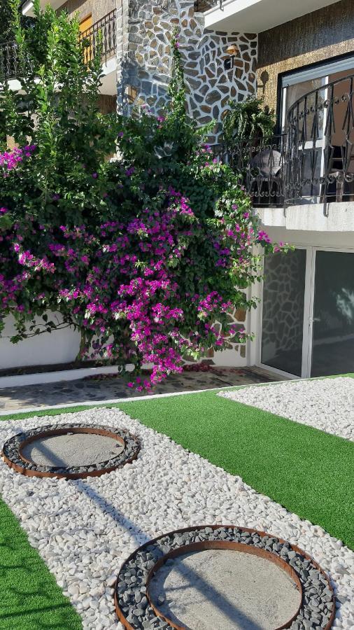 Colina Guesthouse - Braga Kültér fotó
